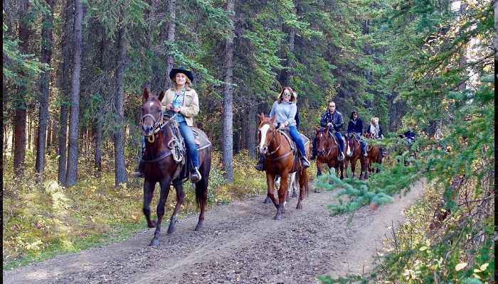 horse riding lesson